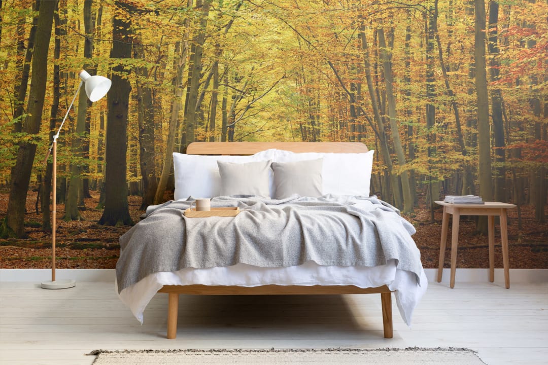 Autumn Pathway Tree Wallpaper Mural