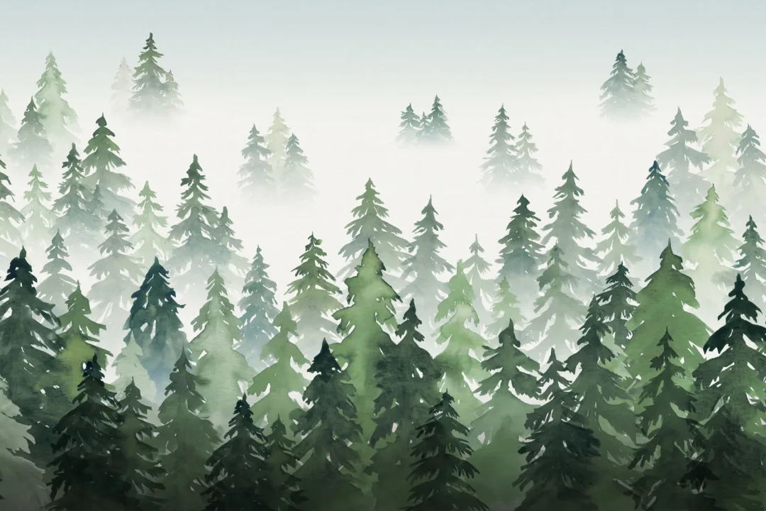 Green Watercolor Forest Tree Silhouette Wallpaper Mural
