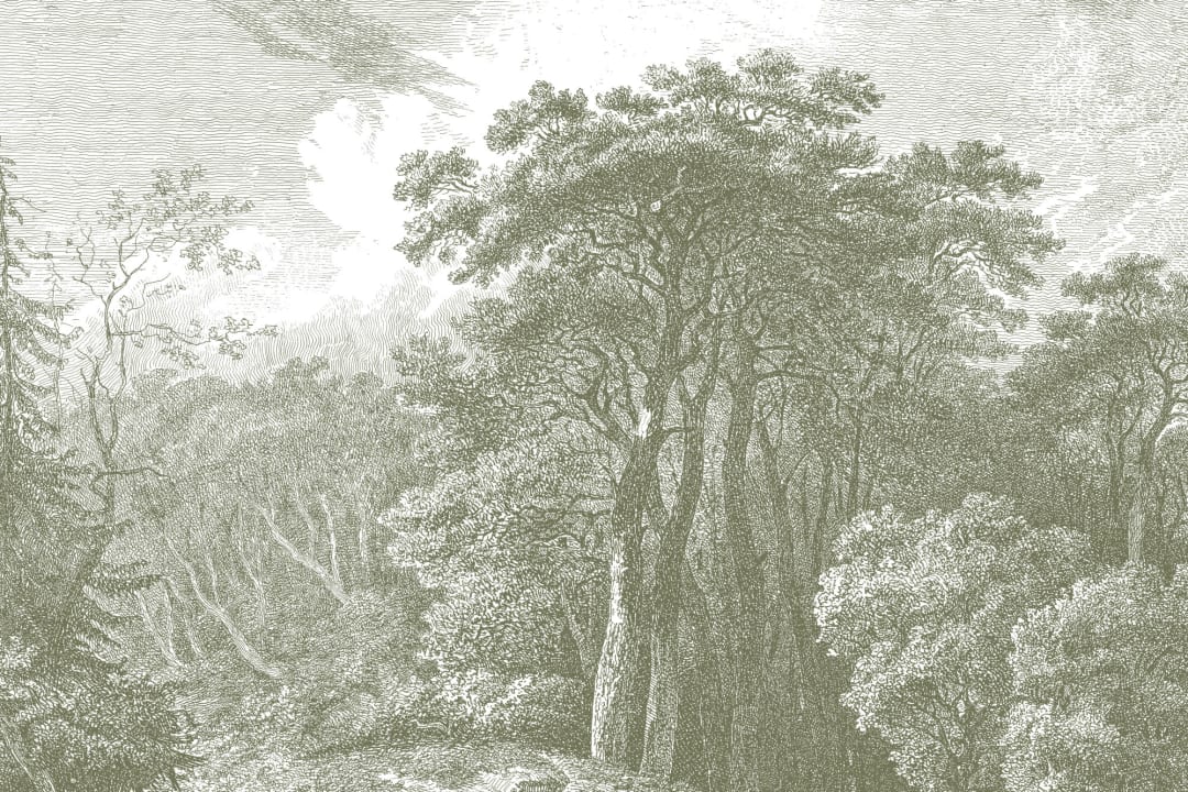 Green Tree Forest Etching Wallpaper Mural
