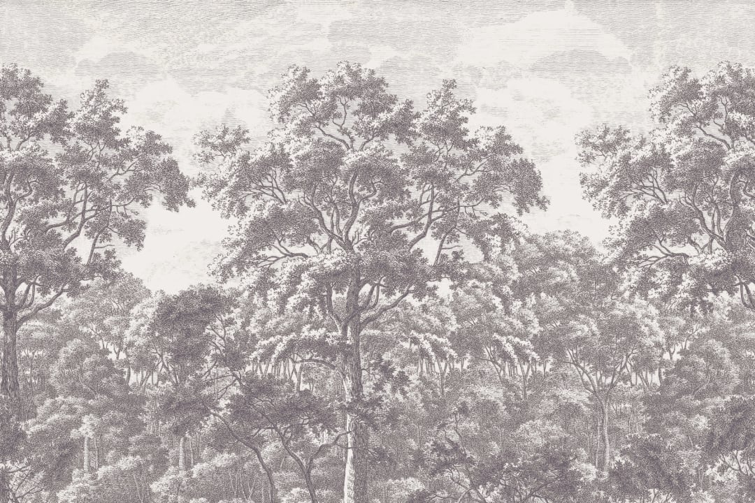 Gray Forest Illustration Etching Wallpaper Mural