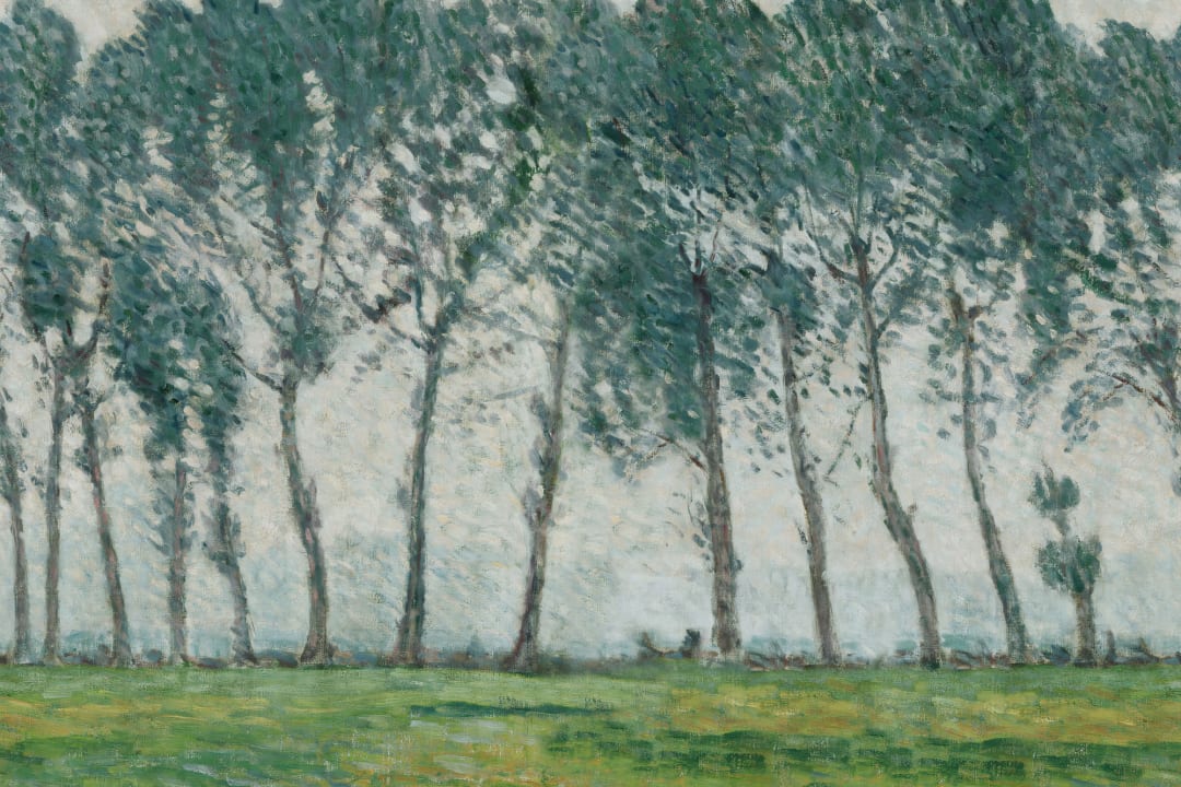 Green Abstract Forest Mural