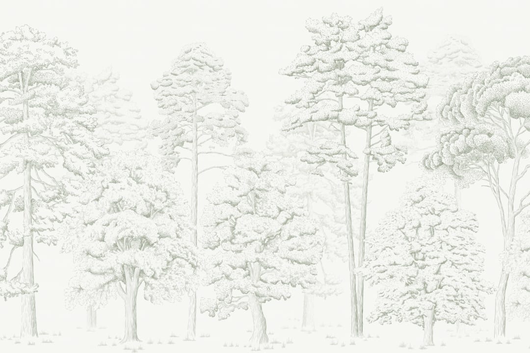 Illustrated Forest Wallpaper Mural