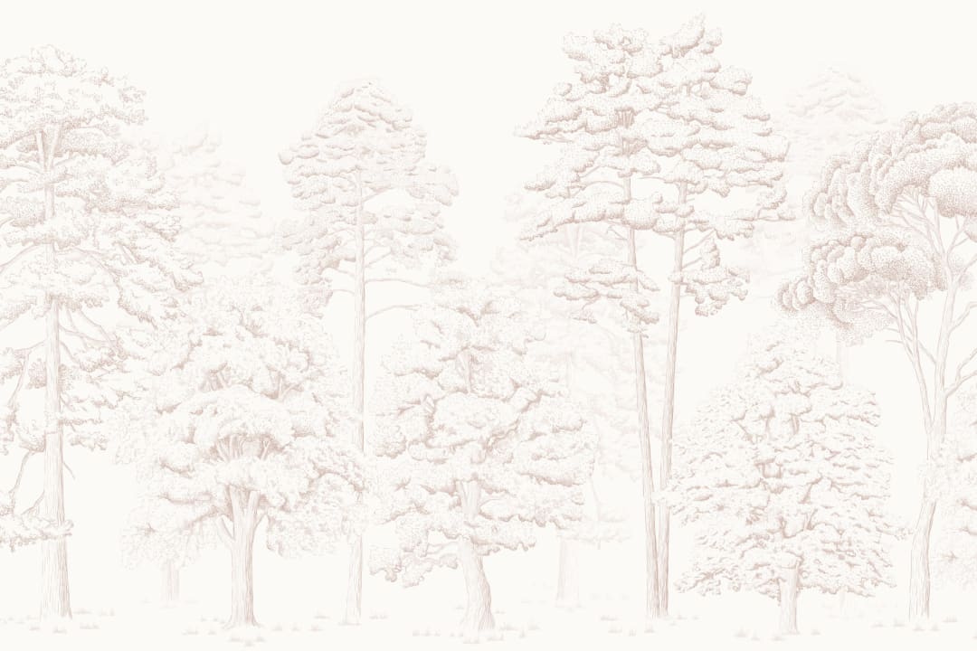Pink Illustrated Forest Wallpaper Mural