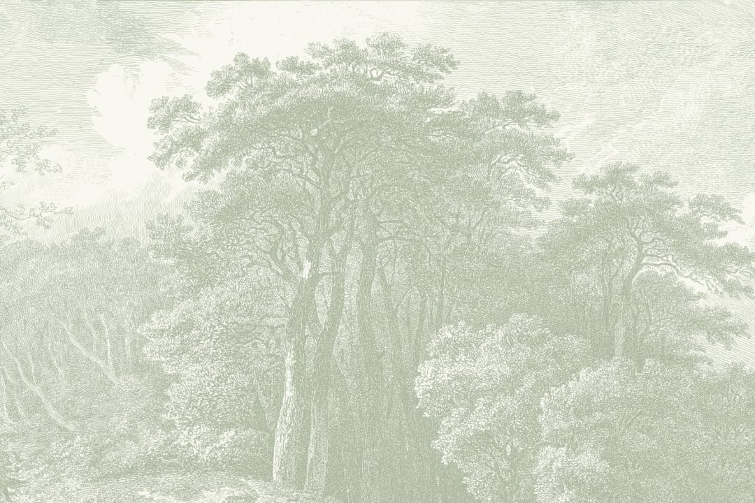 Vintage Forest gravură murale în tonuri de verde salvie
