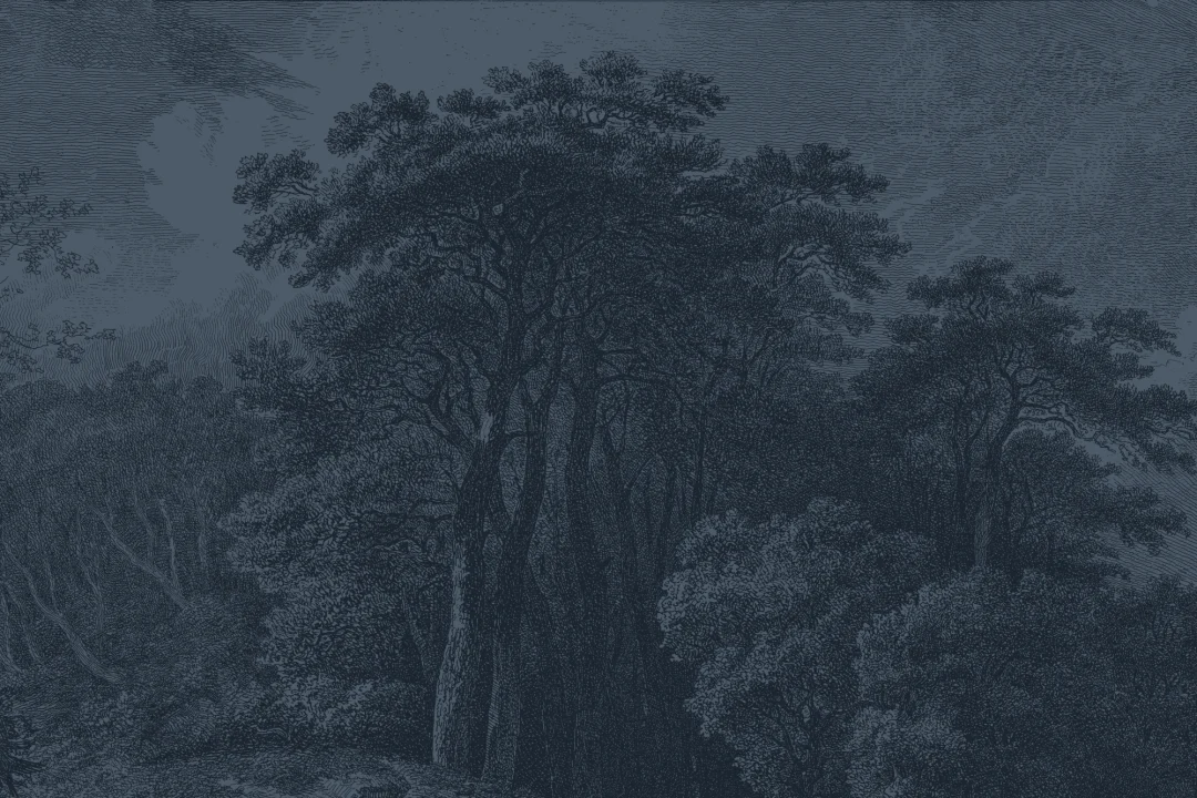 Vintage Forest Etching Wall Mural in Deep Navy Blue