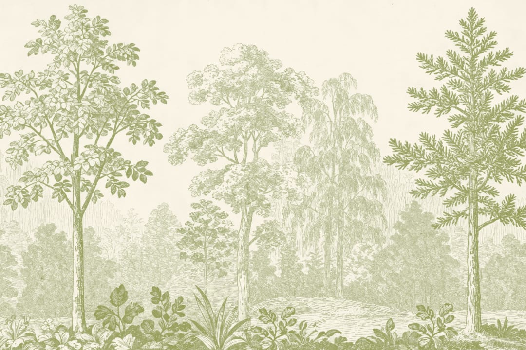 Green Botanical Forest Scene Vintage Nature Mural