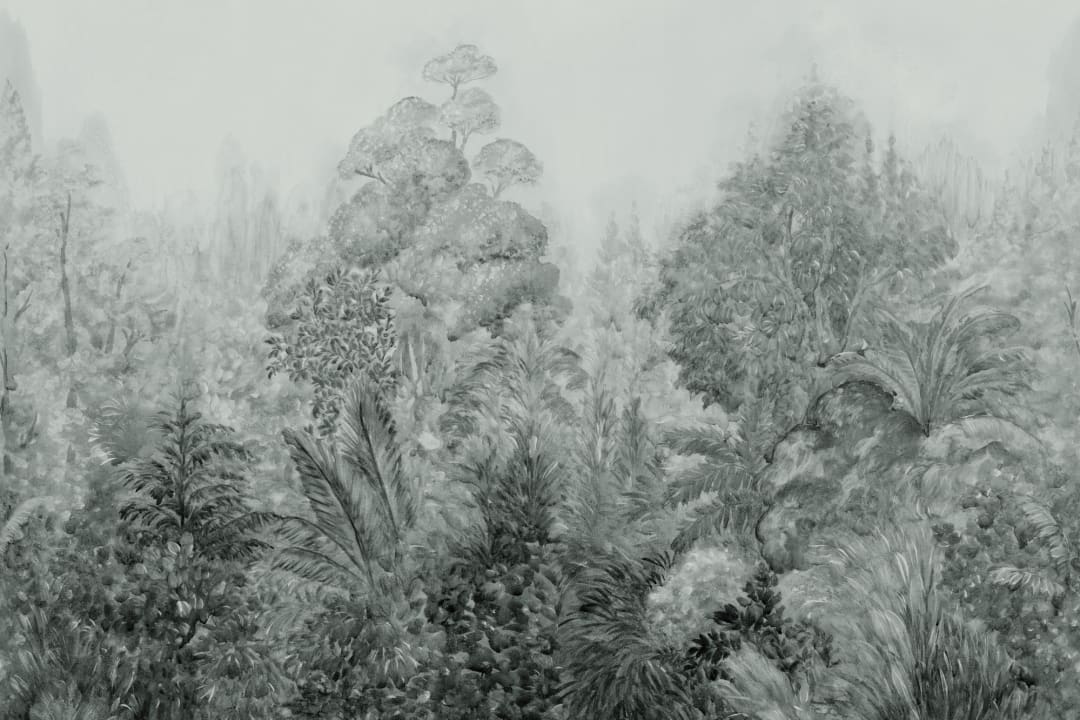 Murale botanică junglă gri cu atmosferă