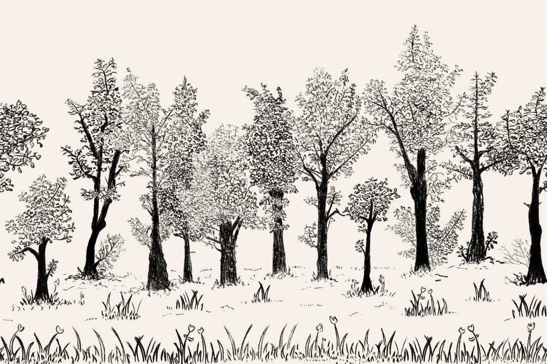 Black Illustrated Traditional European Forest Mural