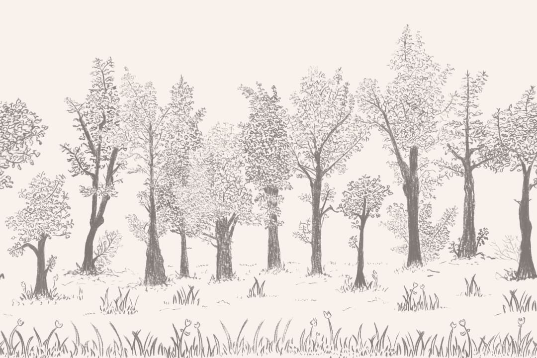Gray Illustrated Traditional European Forest Mural