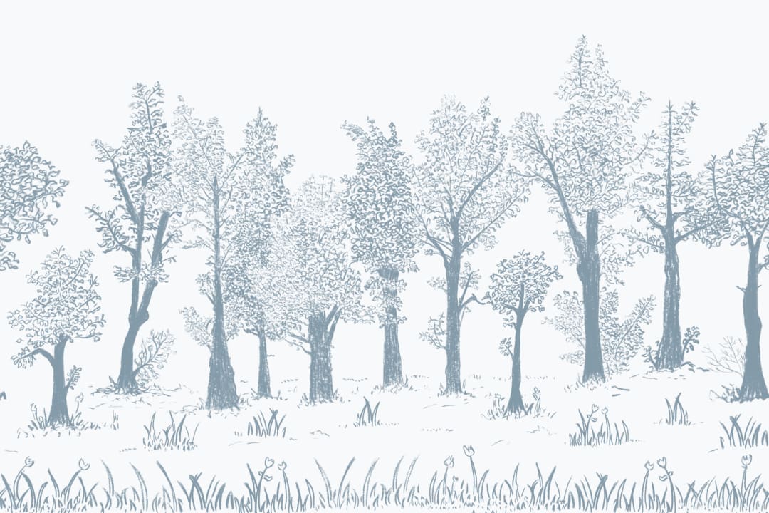 Blue Illustrated Traditional European Forest Mural