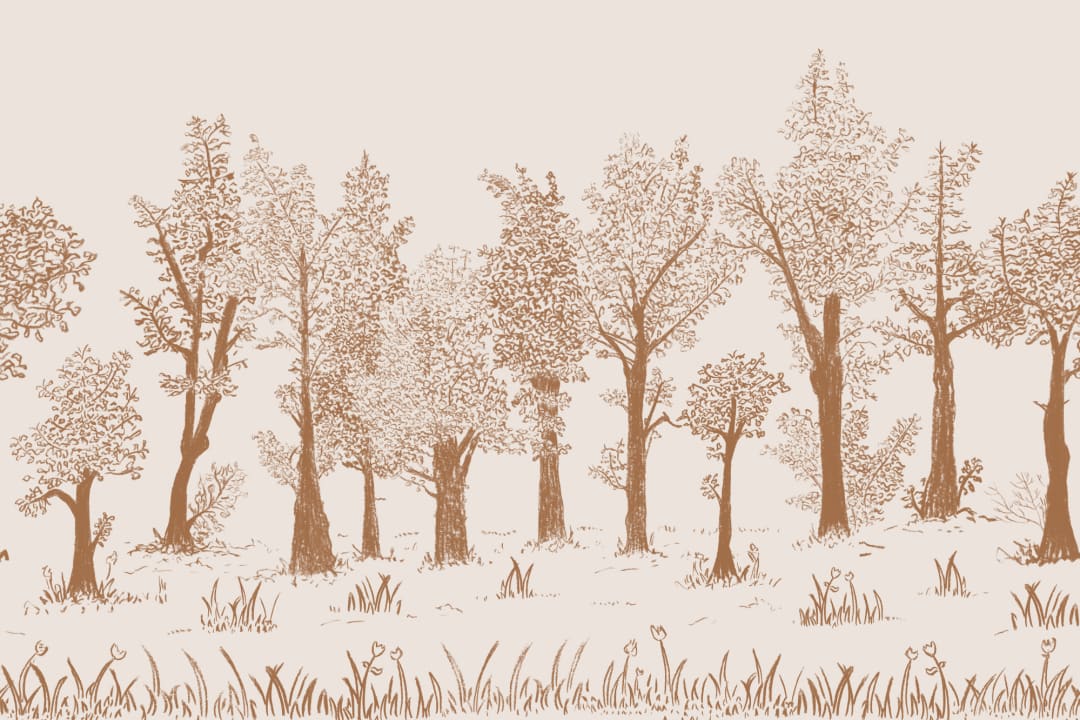 Brown Illustrated Traditional European Forest Mural