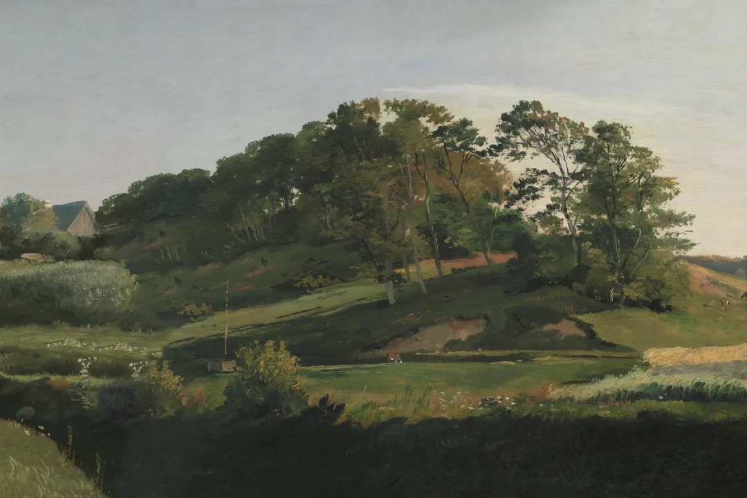 Danish Hills Landscape Painting Mural