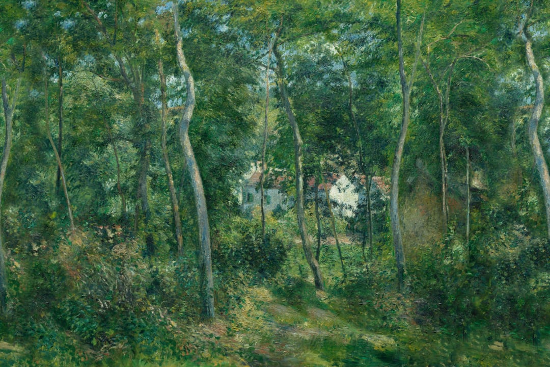 Green Wild Woodland Oil Painting Mural
