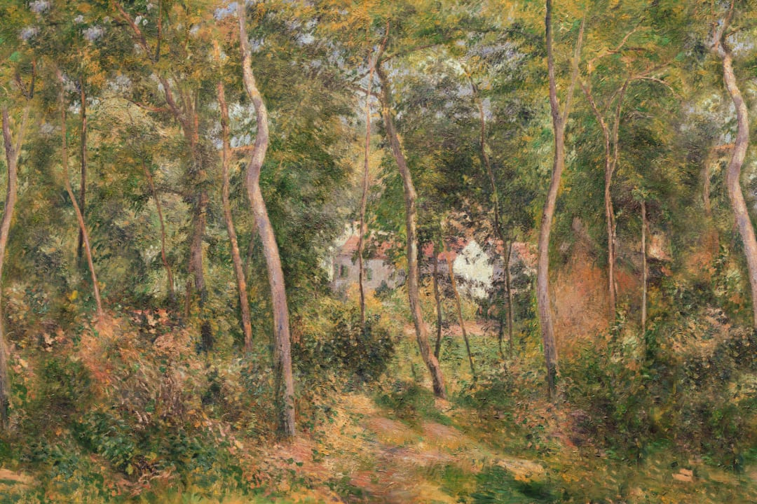 Classic Wild Woodland Oil Painting Mural
