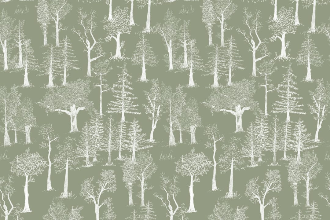 Green Illustrated Traditional Forest Wallpaper
