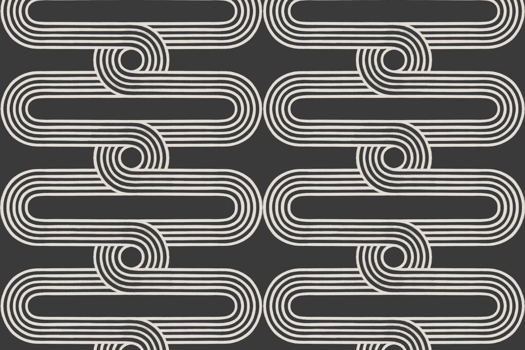 Papier Peint Noir et Blanc à Motif Horizontal de Lignes Courbes Entrelacées