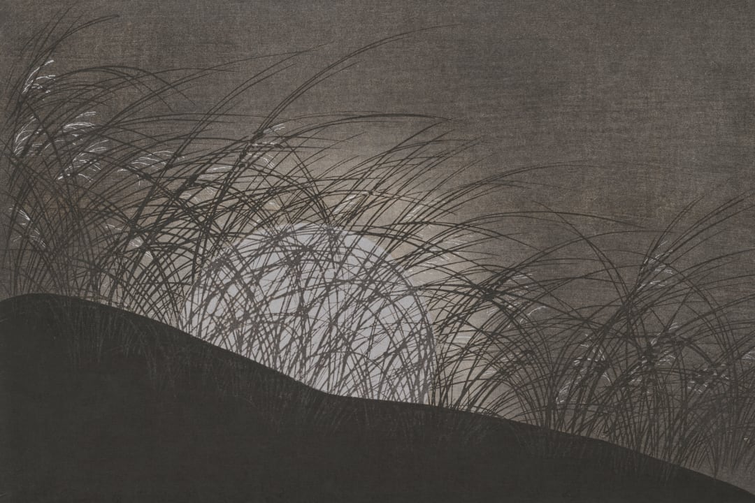 Papier peint panoramique de la nature Japandi Scène d'herbe sombre Komorebi