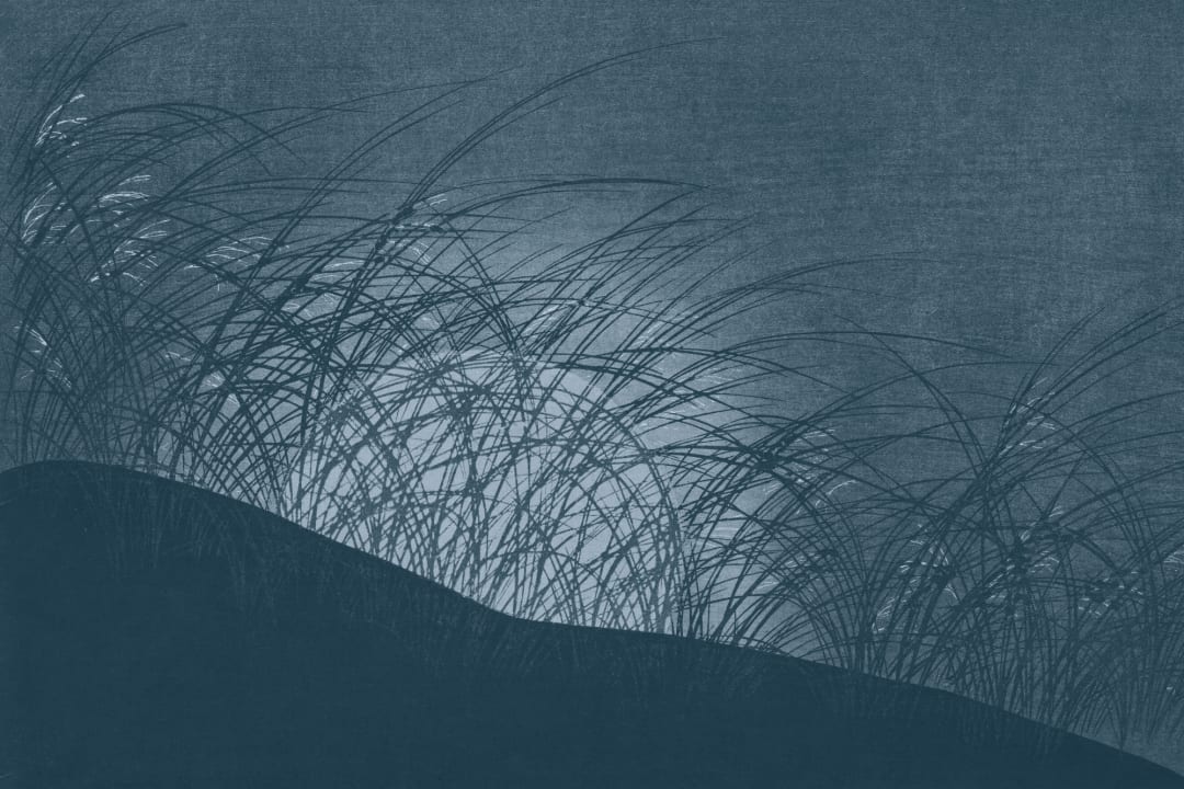 Papier peint panoramique de l'herbe bleue du Japandi Nature Mural