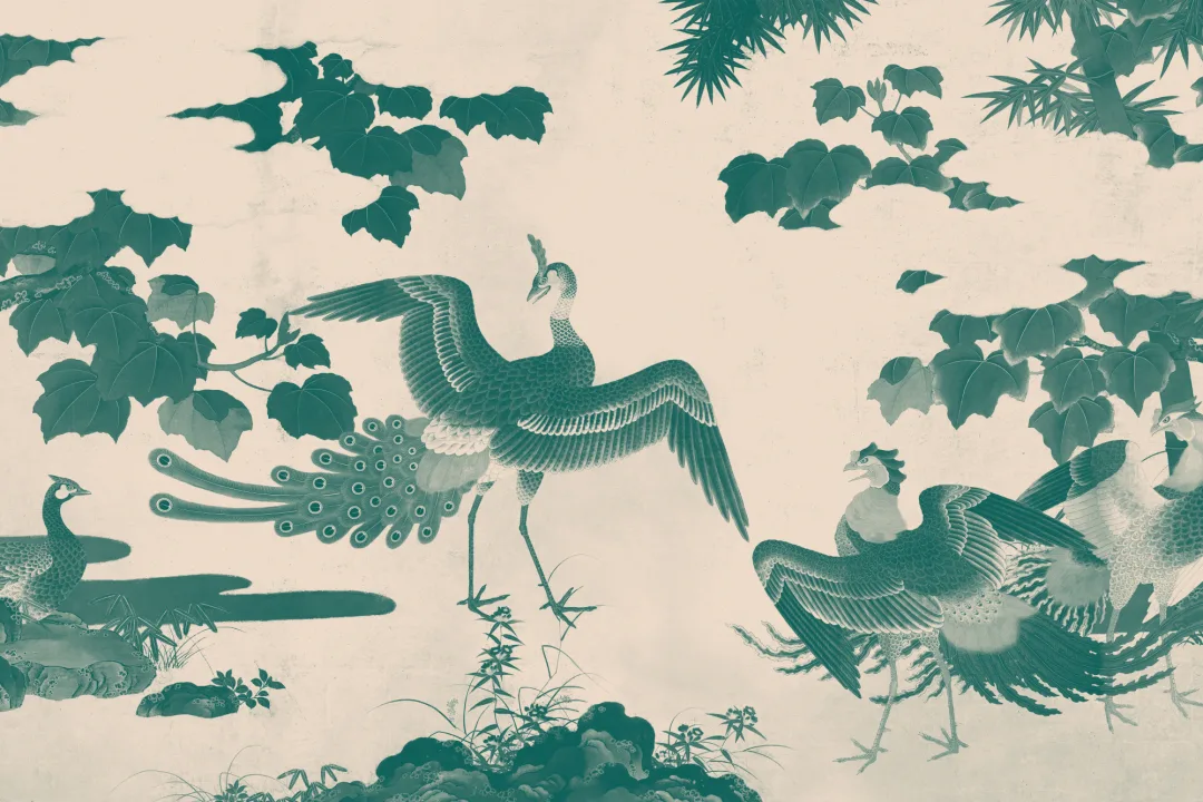 Krikand Illustreret japansk påfugle fototapet