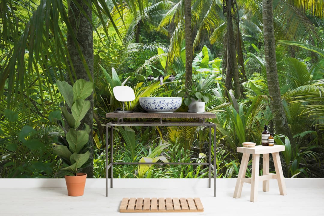 Brazilian Jungle Wallpaper Mural