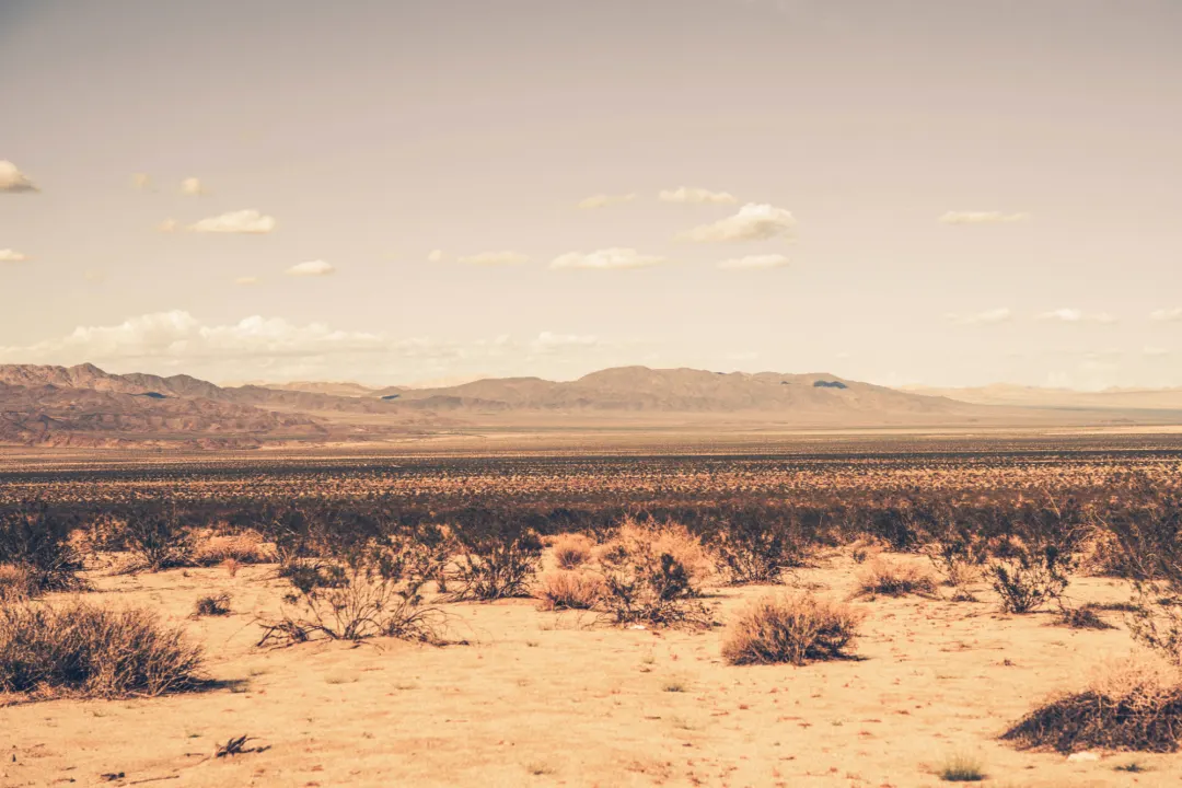 Arid Desert Wallpaper Mural