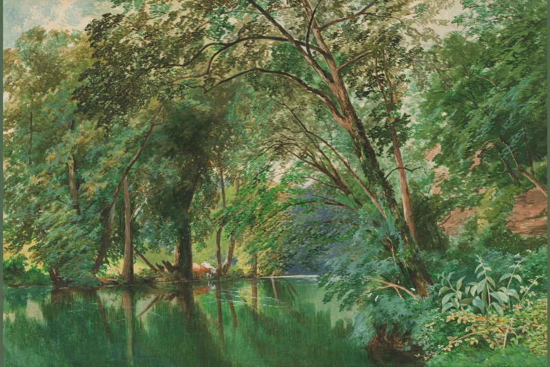 Trees Over the River Wall Mural