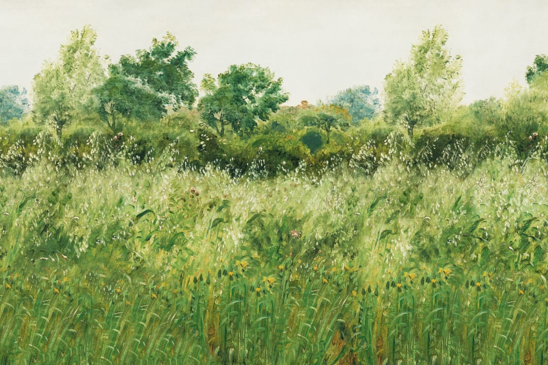 Green Summer Meadow Oil Painting Mural