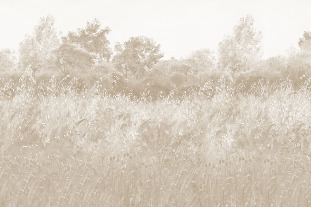Beige Summer Meadow Oil Painting Mural