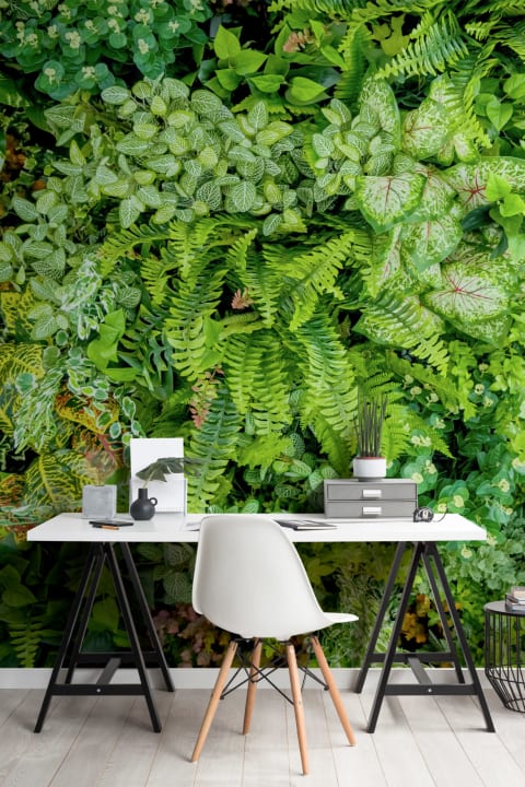 Plant Wall Leaf Wallpaper Mural