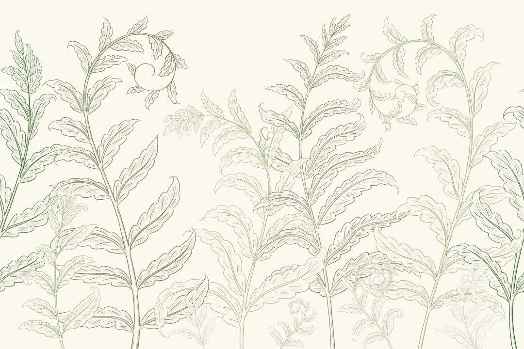 Green Botanical Ferns Mural