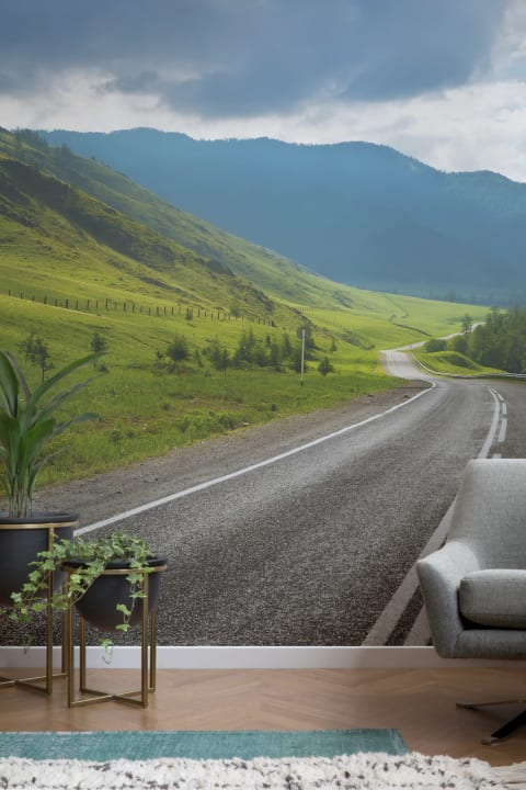 Highland Pass Wallpaper Mural
