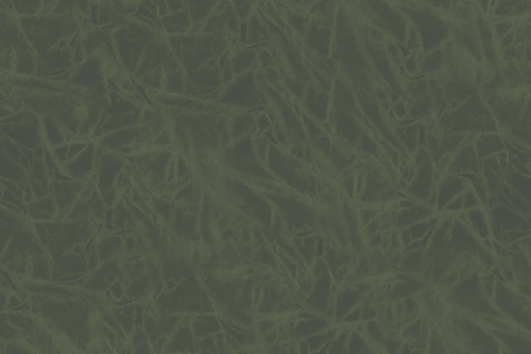 Papier Peint Panoramique Vert Foncé à l’Effet Froissé