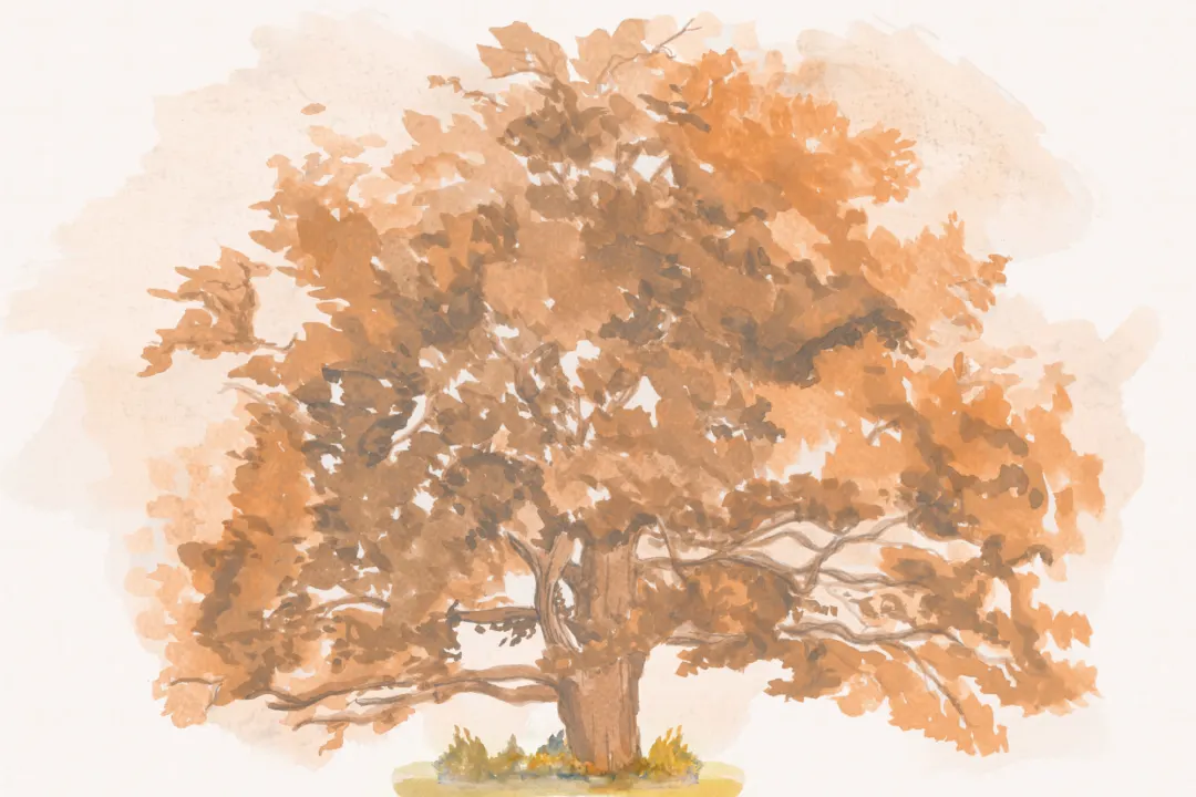 Mural Árbol de Otoño