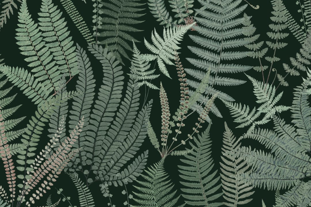 Papier Peint Fougère Vert Foncé et Vintage à Motifs Répétés