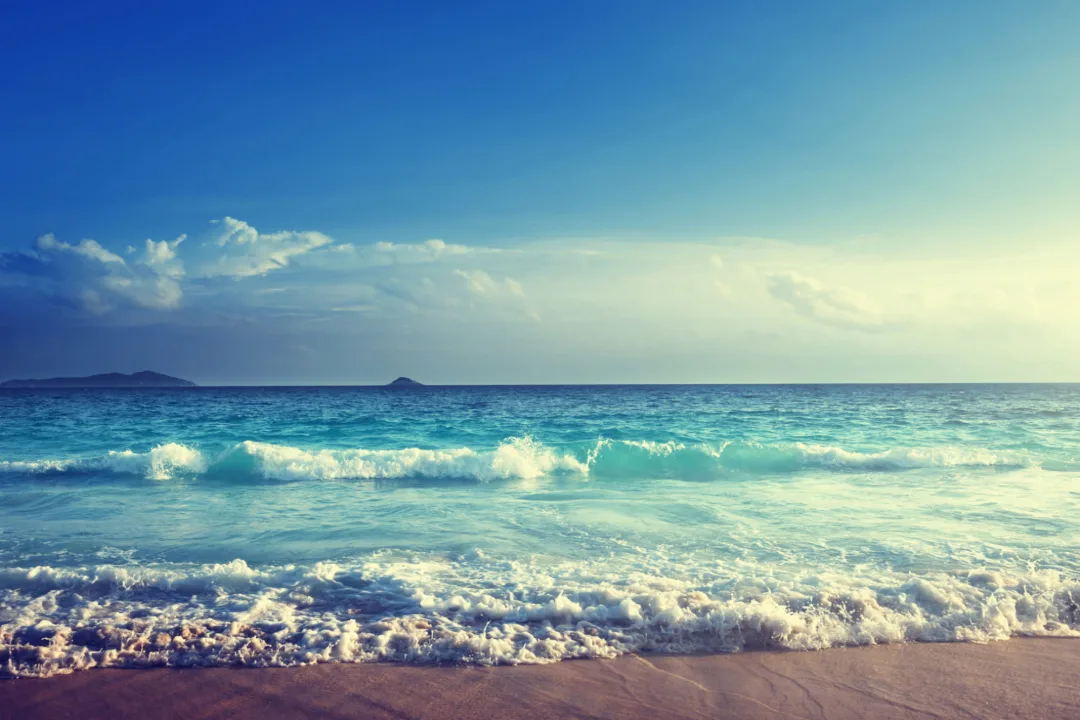 Choppy Shore Wallpaper Mural