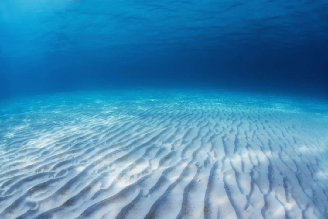 Ocean Shallows Wallpaper Mural