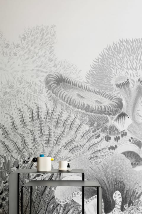 Mural de recife de coral com ilustrações vintage cinzentas