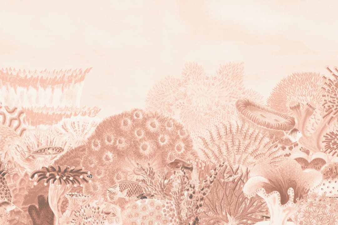 Peach Vintage Illustrations Coral Reef Mural