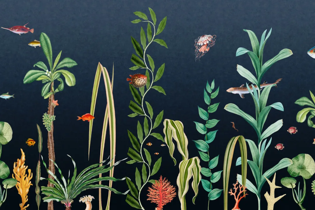 Navy Fish & Seaweed Underwater Mural