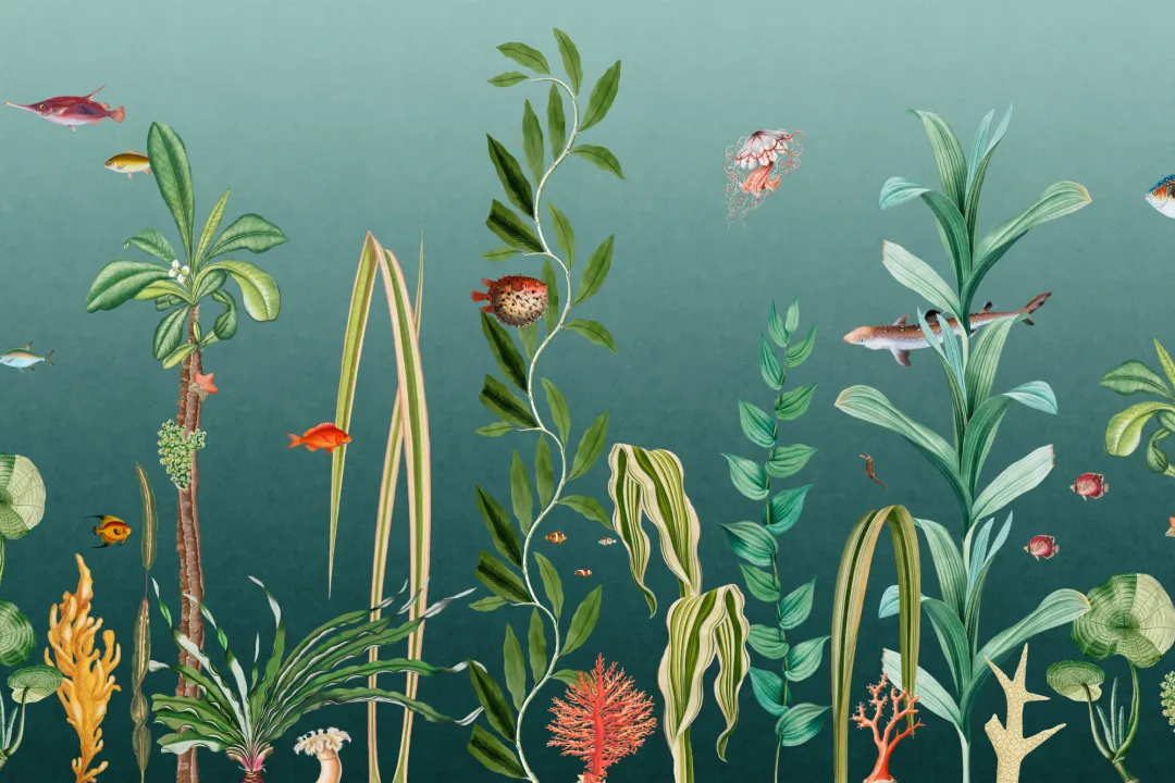 Peinture murale sous-marine poisson sarcelle et algues