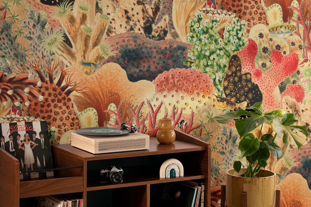 Mural de ilustrações vintage coloridas de plantas marinhas
