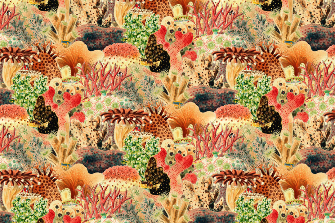 Mural de coloridas ilustraciones vintage de plantas marinas