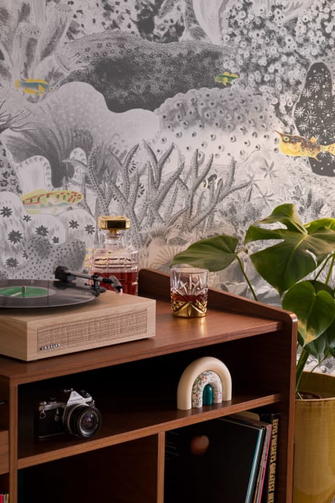 Gris Vintage Ilustraciones Plantas Marinas Mural