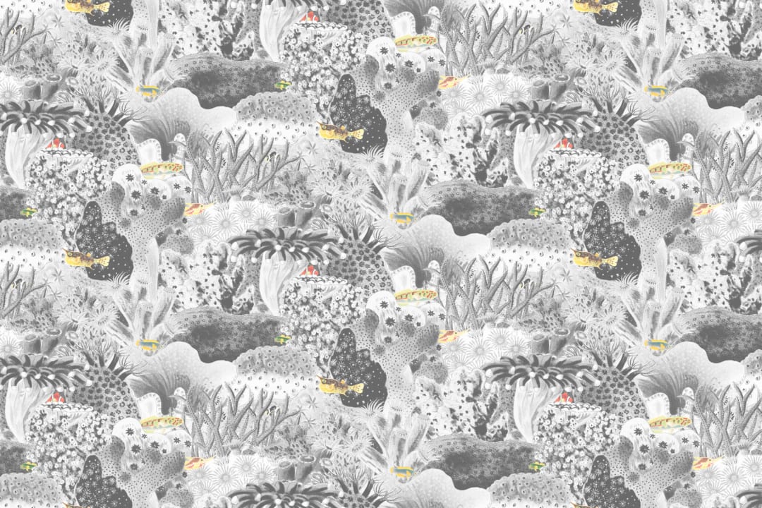 Gris Vintage Ilustraciones Plantas Marinas Mural