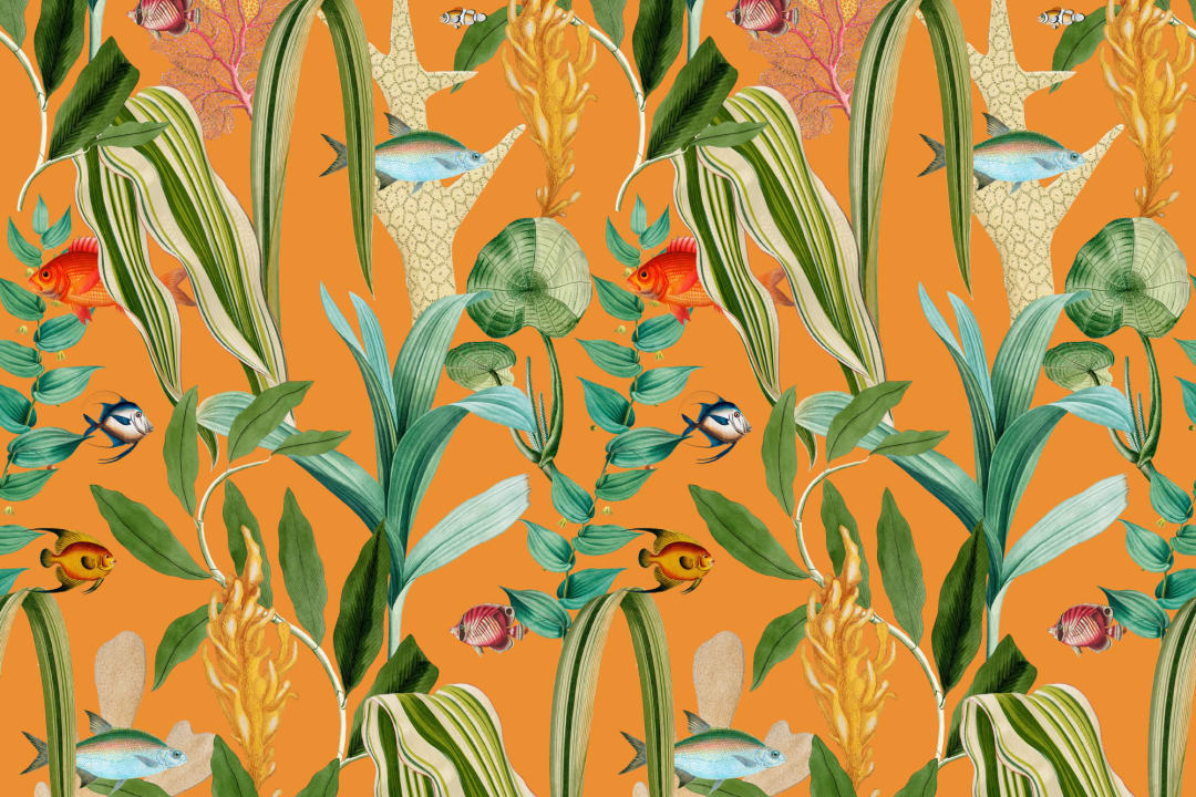 Papel pintado costero naranja Peces y plantas