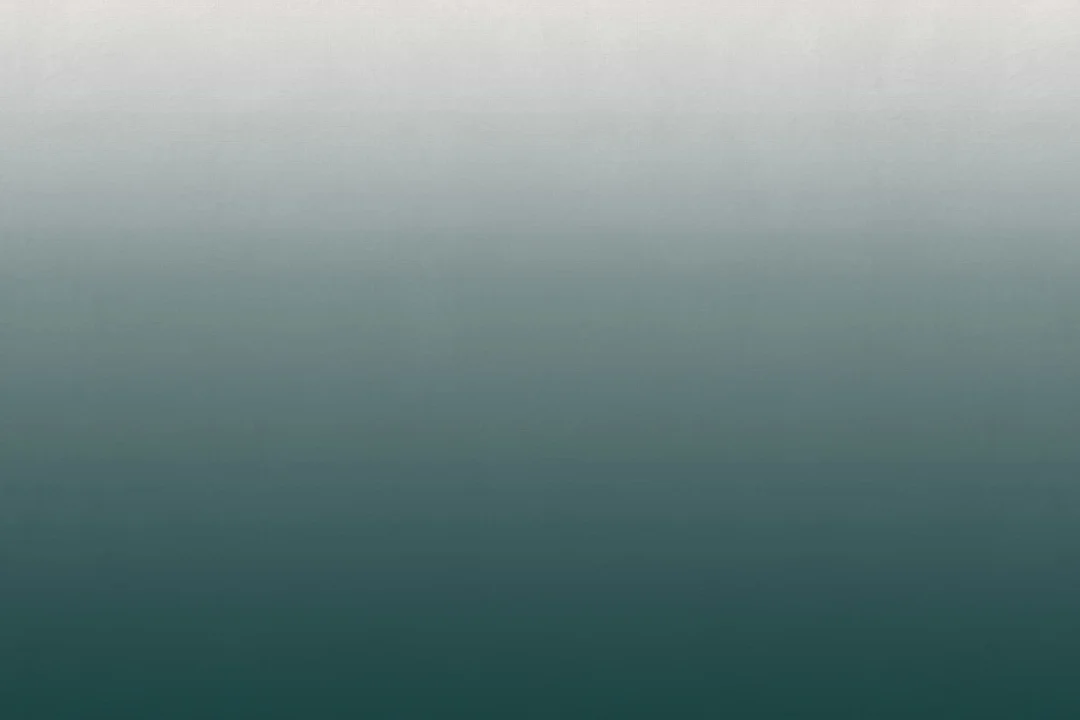 Papier Peint Panoramique Forêt Verte Ombragée