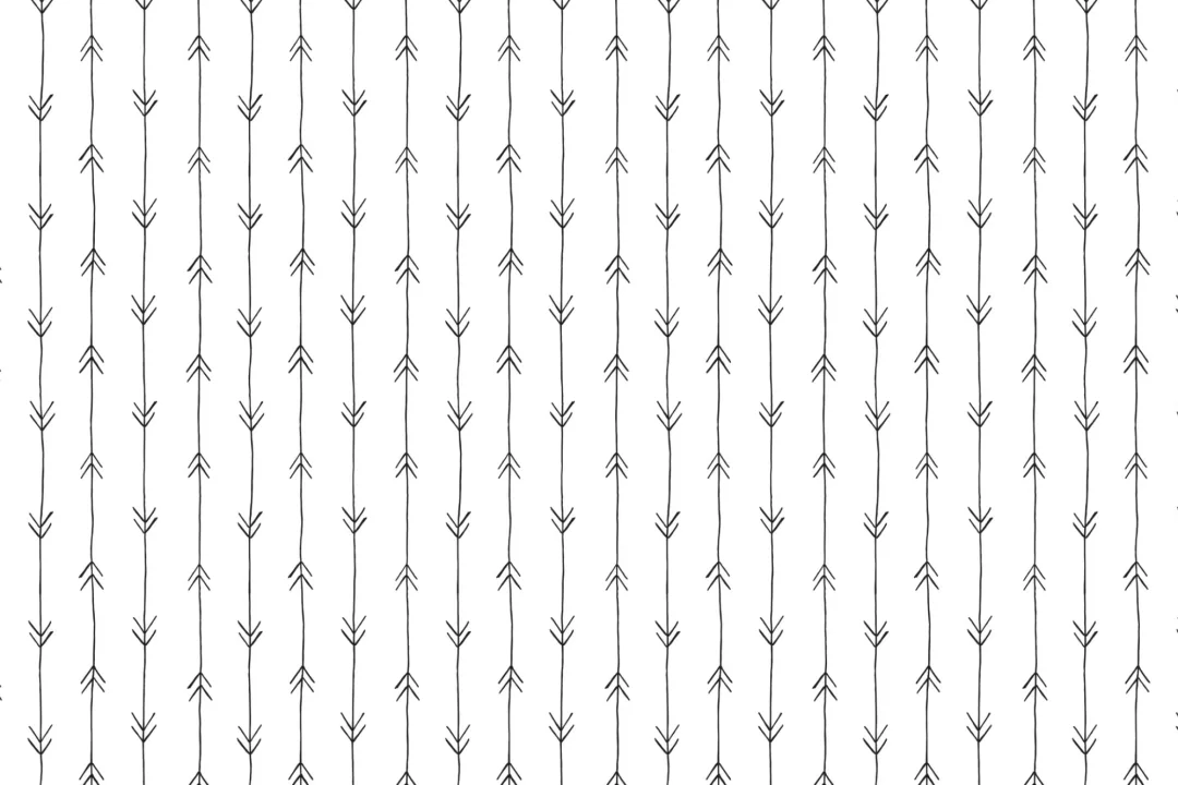 Papel Pintado Blanco y Negro Flechas
