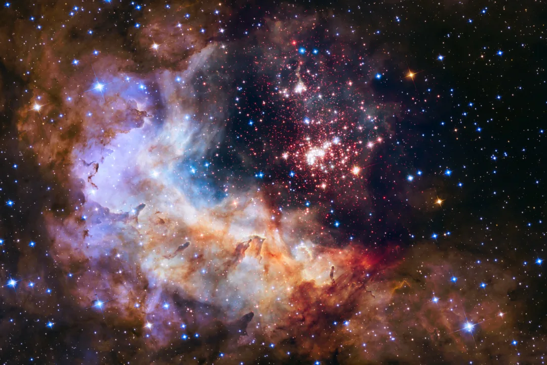 Westerlund Cluster Space Wallpaper Mural