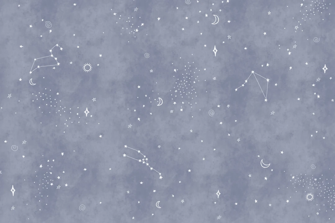 Navy & White Zodiac Constellation Mural