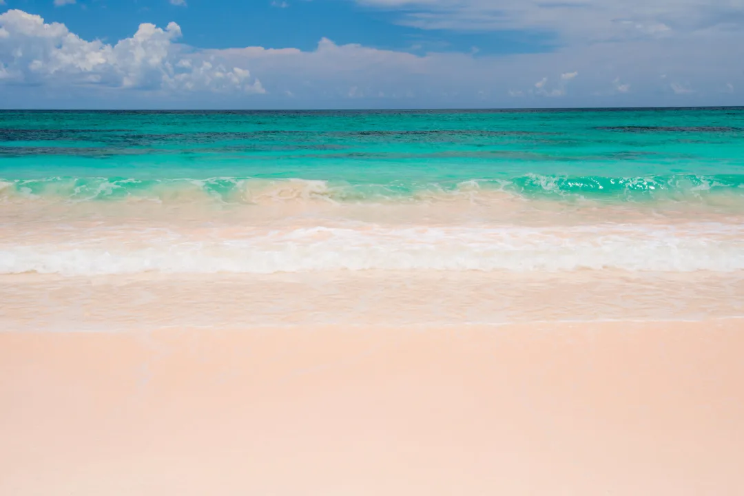 Pink Beach Wallpaper Mural